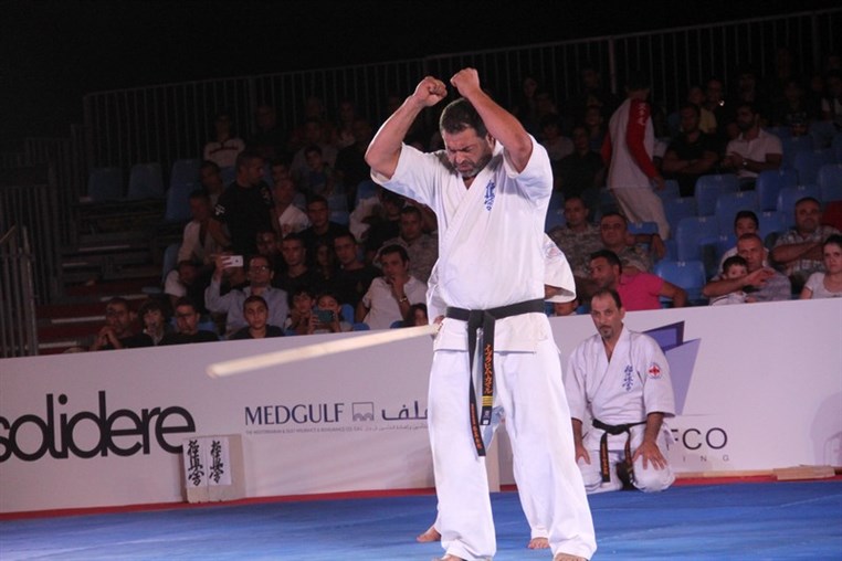 Martial Arts Festival